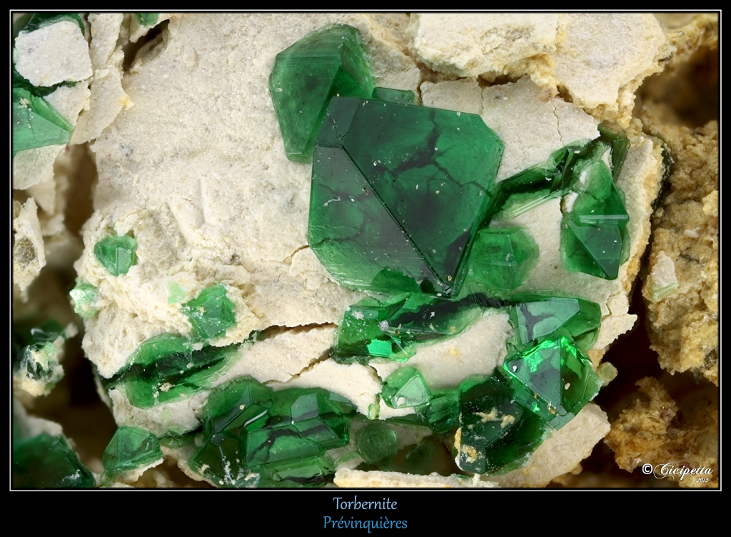 Les 10 minéraux  les plus toxiques de la planète   Torbernite-previnquieres-n2650-o35-c460mm
